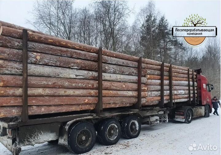 Пиловочник Хвойный опт