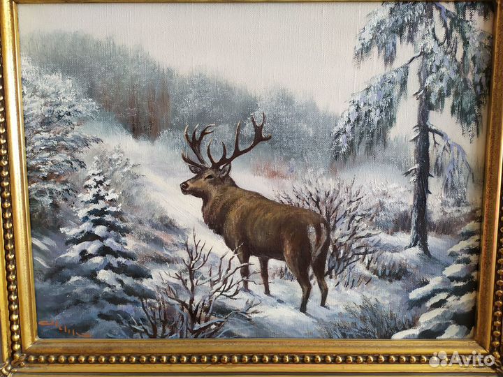 Охота. Красавец олень в зимнем лесу