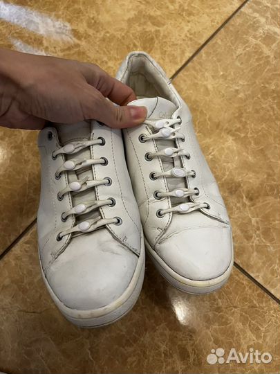 Кеды calvin klein 39