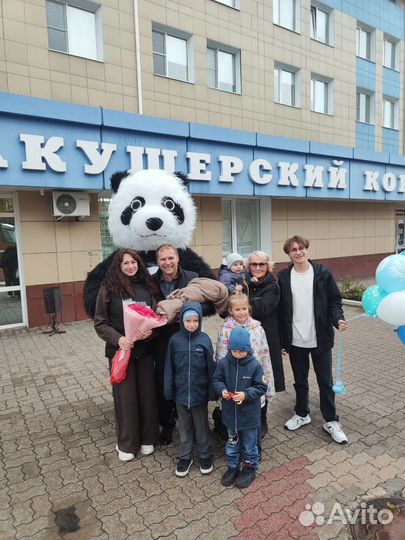 Белый мишка/Чебурашка/Панда/Поздравление