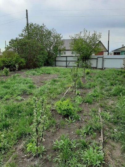 Участок 20 сот. (ИЖС)