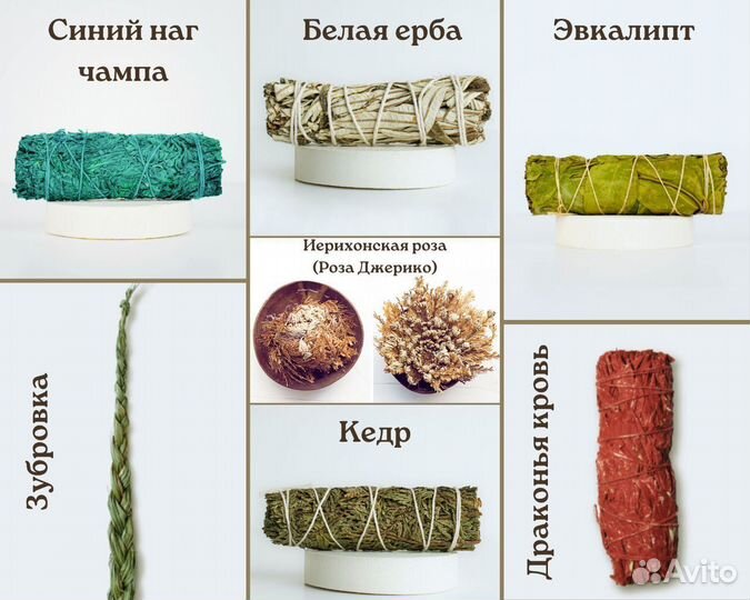 Шалфей Белый от 20шт опт для Озон