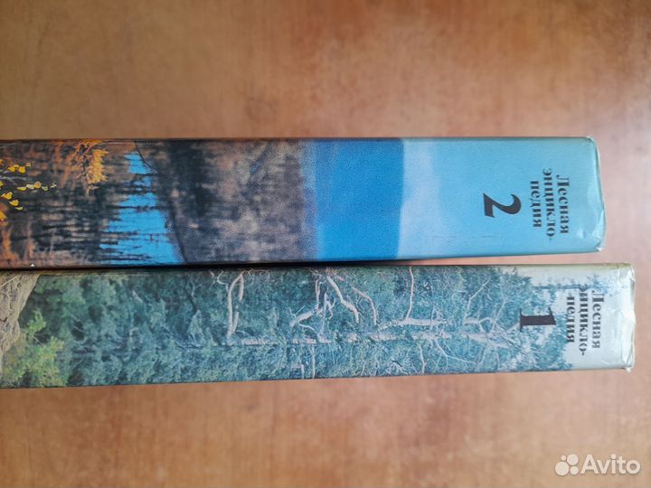 Лесная энциклопедия. 2 Т. 1985-1986 гг