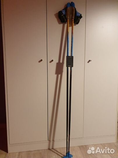 Лыжные палки Ski GO карбон