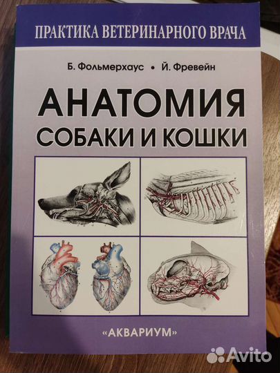 Анатомия Собаки и Кошки. Б. Фольмерхаус