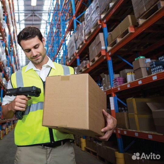 Сборщик (Видное )