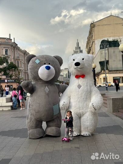 Маша и медведь первая встреча анимаккорд 2009. Токи мишка. Коричневый медведь из мультика. Аэромедведь ростовой. Смайлик медвежонок.