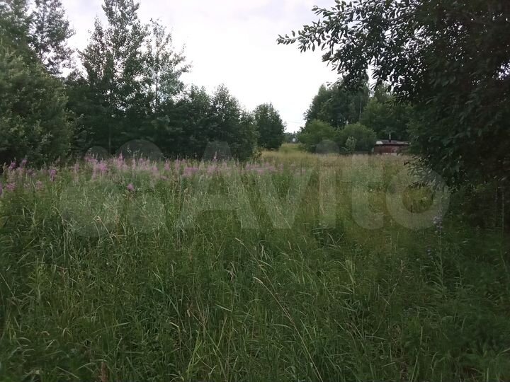 Участок 10 сот. (СНТ, ДНП)