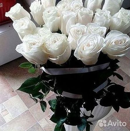 Высокие розы Доставка цветов