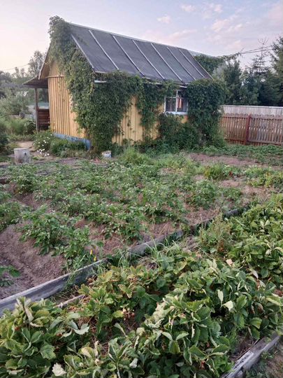 Дача 17 м² на участке 5,4 сот.