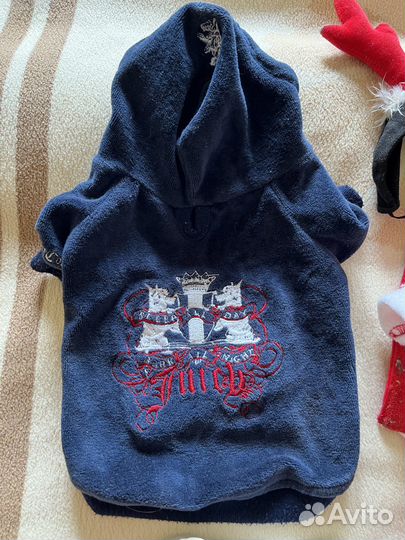 Одежда для мелких собачек