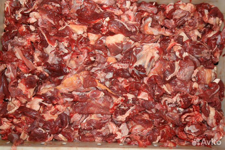 Мясо говядина для собак