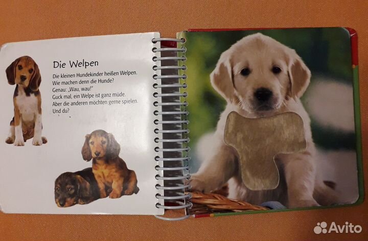 Книги детские позновательные