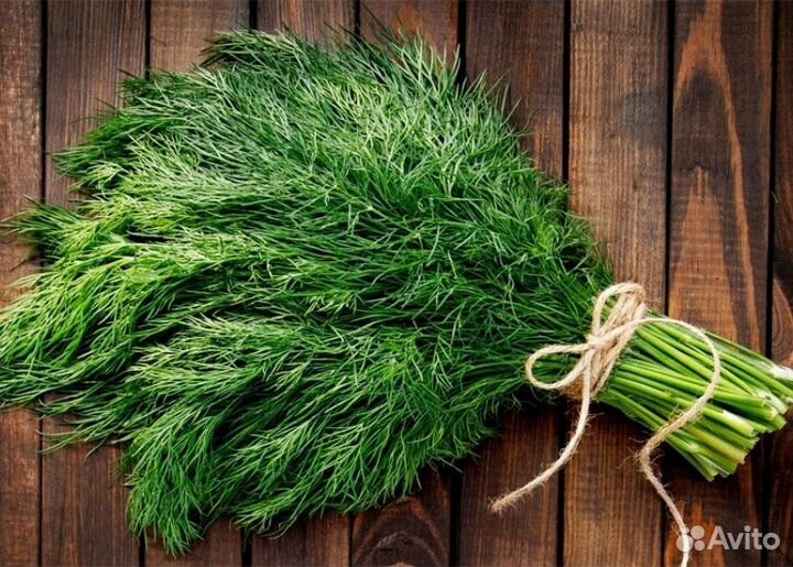 Свежая зелень