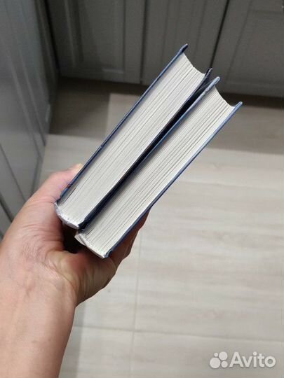 Драконья сага потерянная принцесса, пророчество о