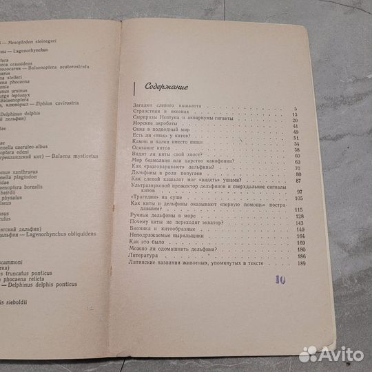 История слепого кашалота. Томилин. 1965 г