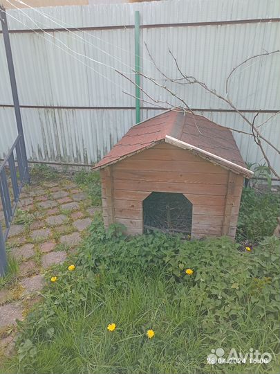 Будка для собаки