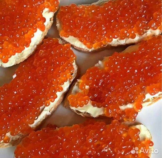 Красная икра 2023