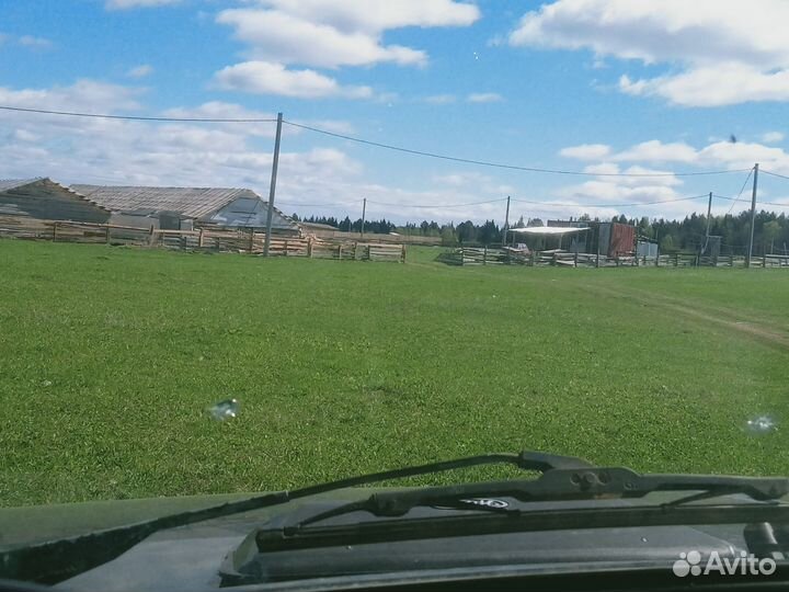 Овечья ферма