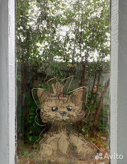 Рисунки, иллюстрации, арт на заказ