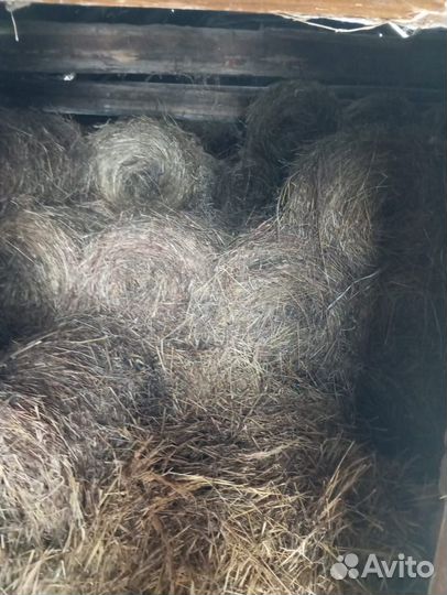 Сено в круглых тюках