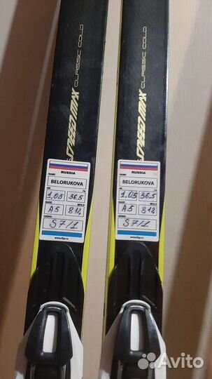 Беговые лыжи fischer