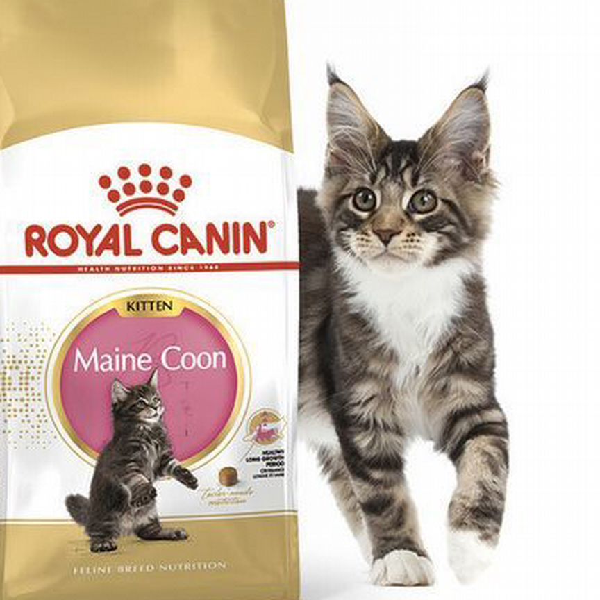 Сухой корм royal canin Мейн кун киттен 8 кг