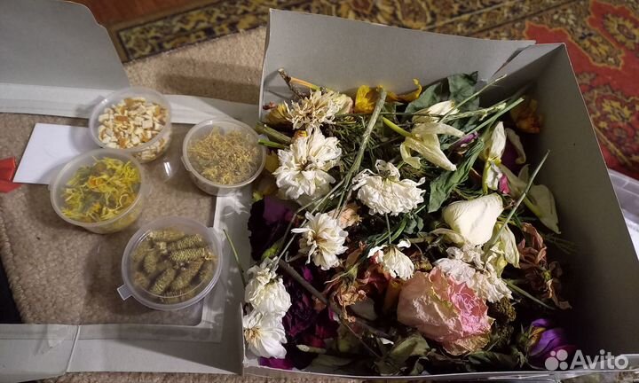Сухоцветы для творчества