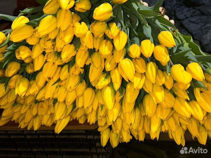 Букет цветов