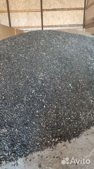 Зерно. Ячмень, горох, семечка