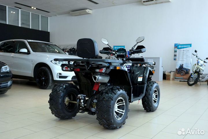 Avantis hunter 200 BIG Premium