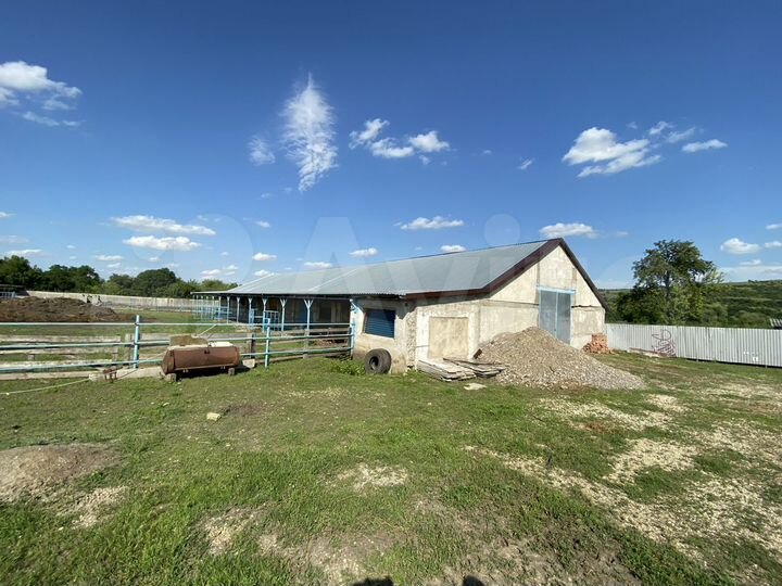 Участок 100 сот. (СНТ, ДНП)