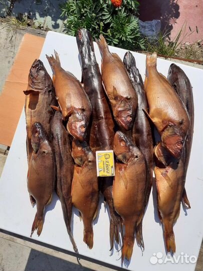 Купить Копченую рыбу