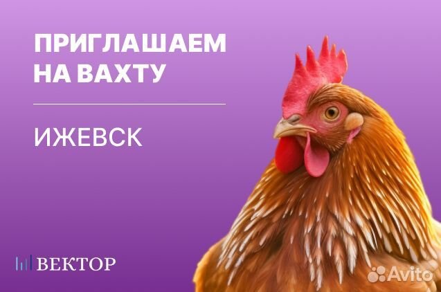 Грузчик на птицефабрику, вахта в Ижевске