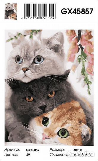 Картина по номерам 40*50 