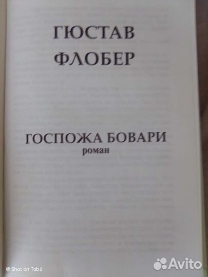 Флобер Госпожа Бовари