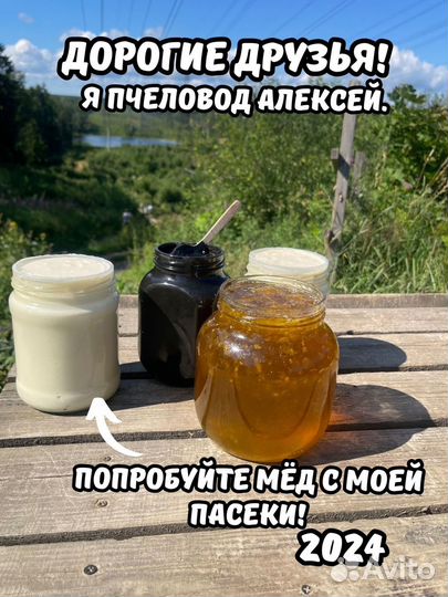 Оговорю покупать Аккураевый мед