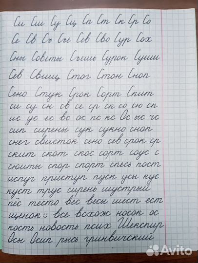 Чистописание/каллиграфия письма от сертиф.педагога