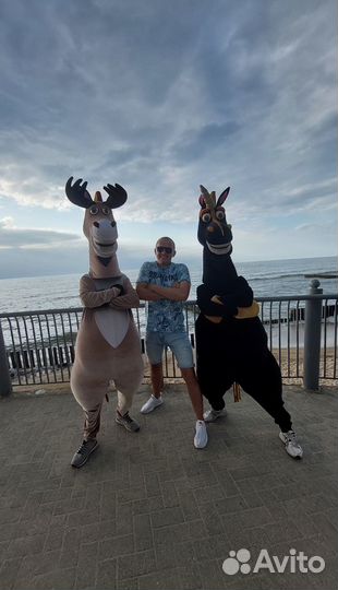 Экспресс поздравление. Аниматоры, праздники