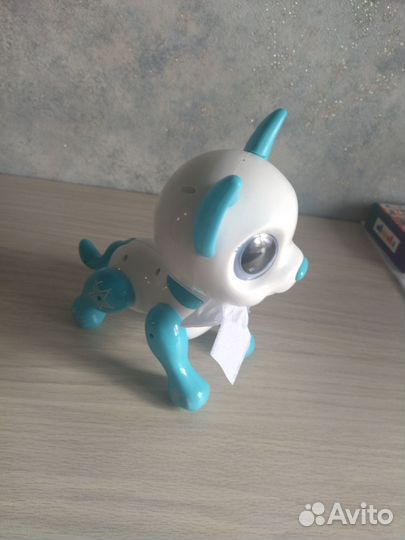 Littlest Pet Shop