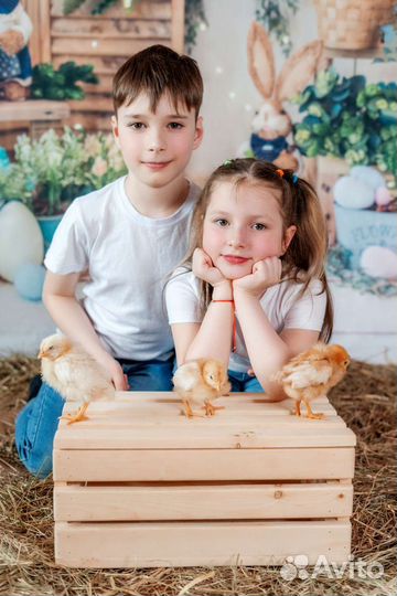 Провожу все виды съёмок