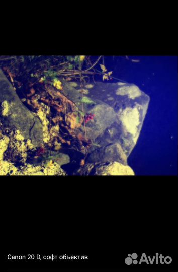 Объектив софт