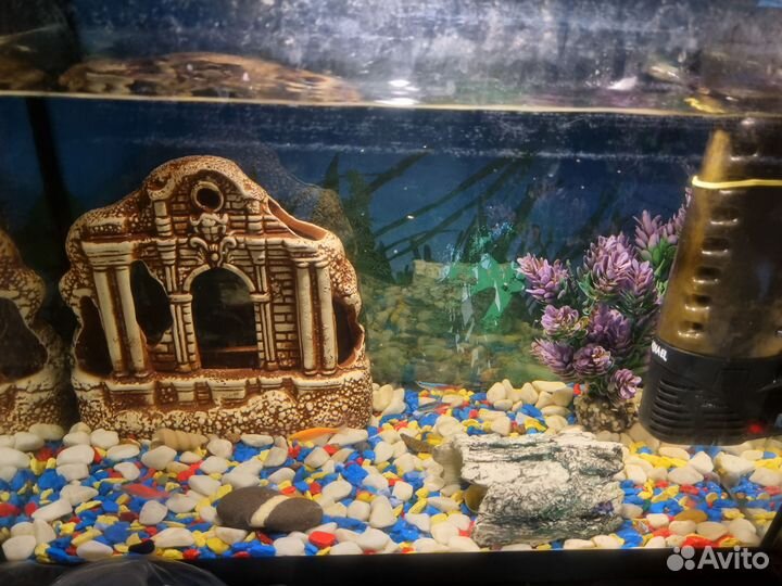 Аквариум