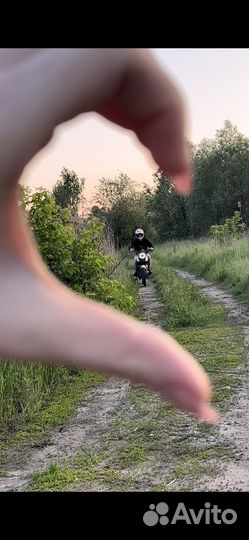 Racer Tiger 150
