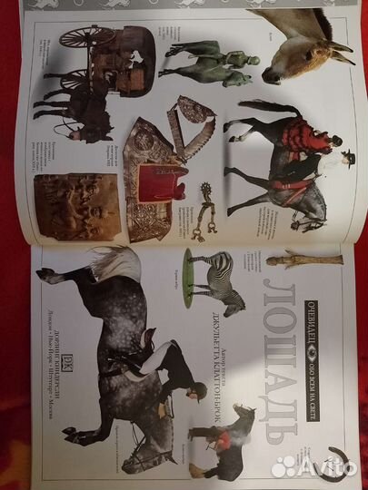 Книги о лошадях