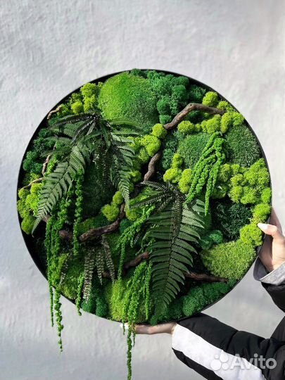 Панно 50 см из стабилизированного мха