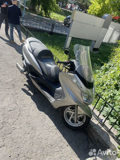 Максискутер