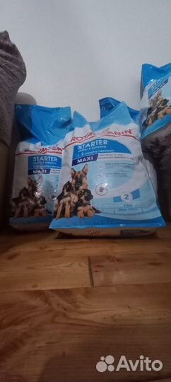 Продаю корм для собак премиум класса royal canine