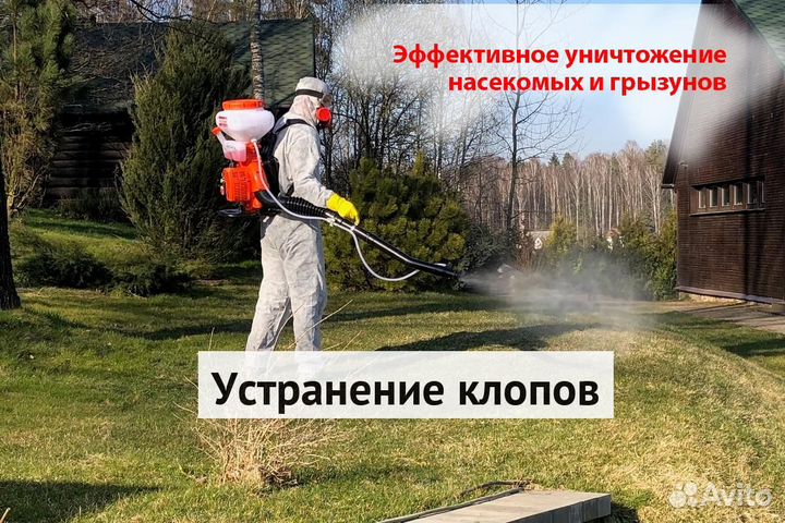 Уничтожение клопов тараканов лечение растений