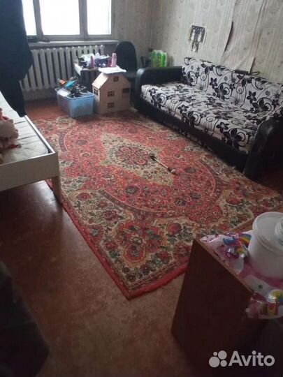 Передержка собак и кошек